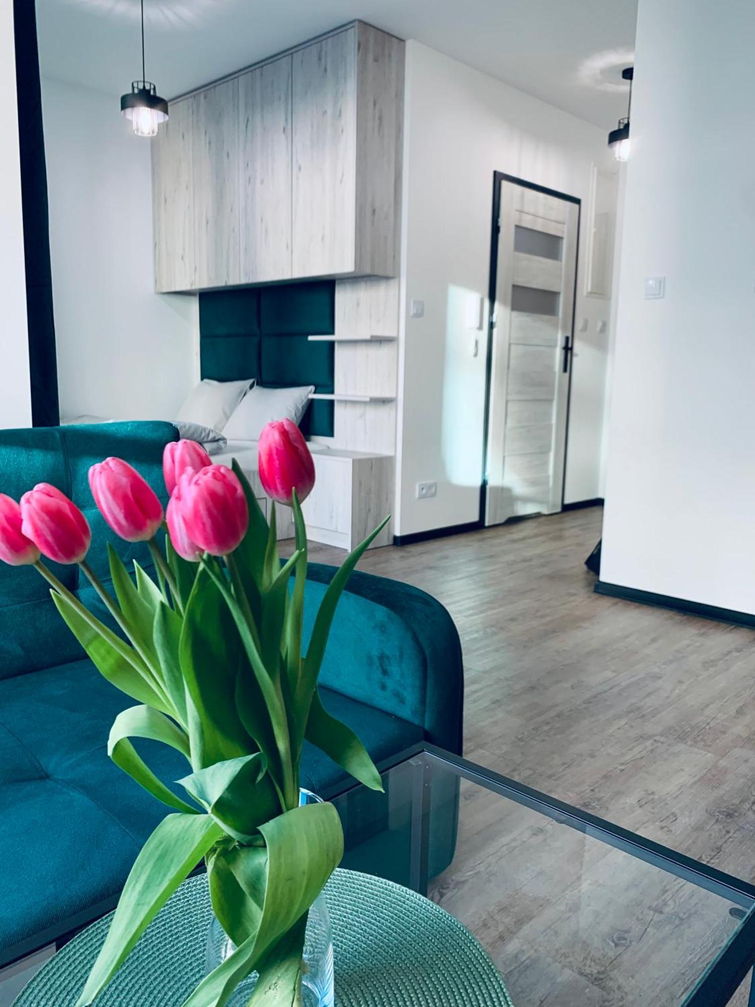 Apartmán Parkcity Centrum Nova Mikolowska