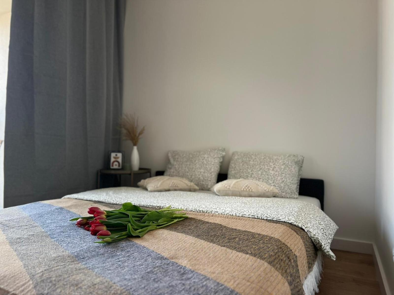 Parkcity Centrum Nova Mikolowska Apartment Katowice