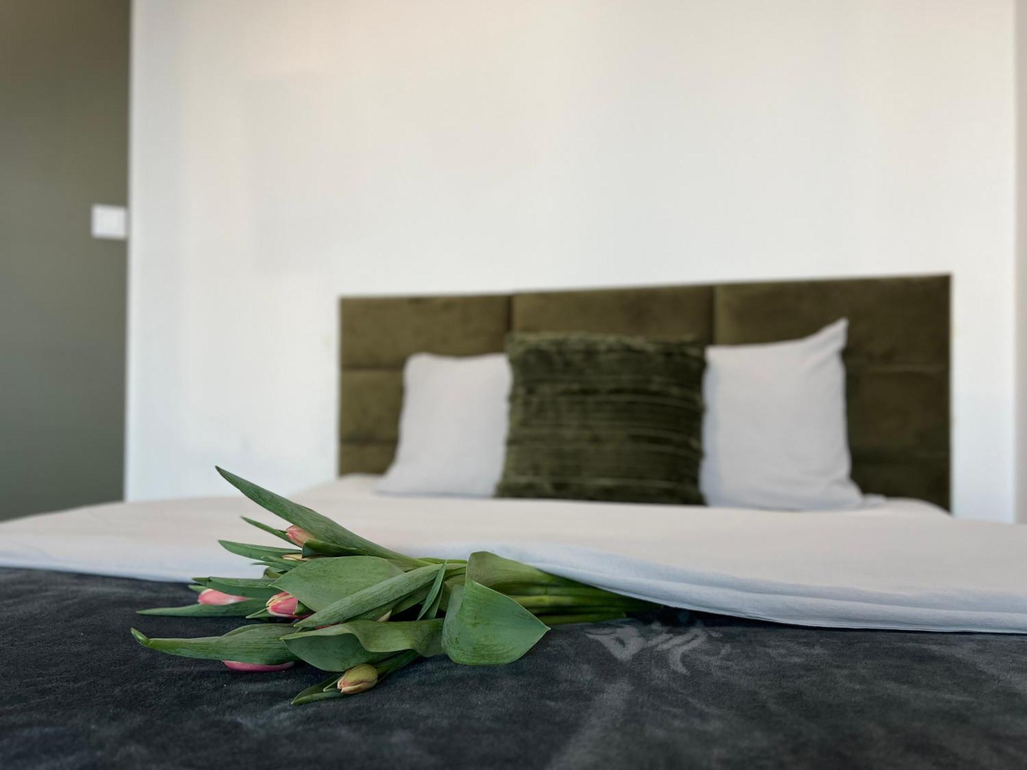 Parkcity Centrum Nova Mikolowska Apartmán